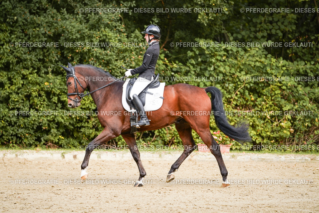 DSC09180 | Pferdegrafie