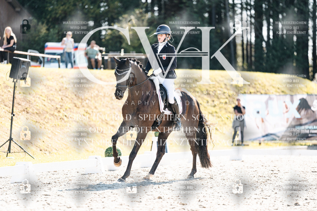 CK905617 | Turnierfotografie Pferdefotografie Trier Rheinland-Pfalz Pferdesport Reitsport Tierfotografie Sportfotografie Pferdevideo Pferdevideografie Equestrianvideography equestrianphotography  - Realisiert mit Pictrs.com