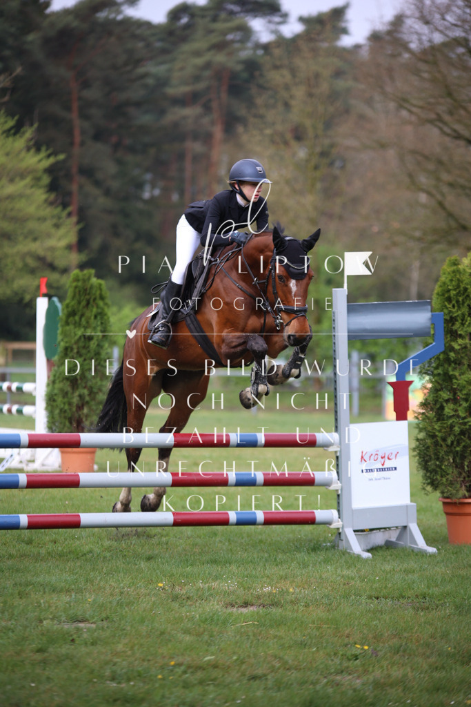 IMGT2382 | pl-fotografie