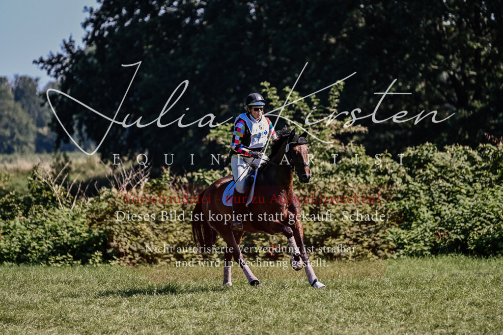 DSC_1579 | Pferde- und Turnierfotografie in Westsachsen. Pferdeportraits, Auftragszeichnungen und intuitive Kunst.