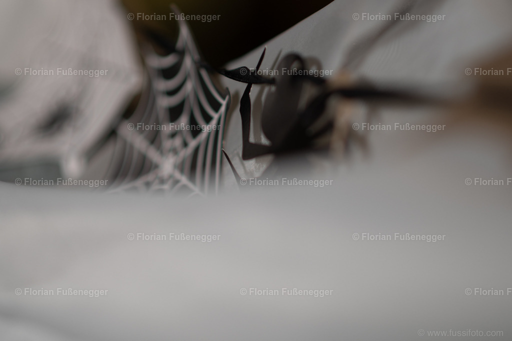 Halloween-05 | "Fussifoto.com – Ihr Ansprechpartner für hochwertige Fotografie! Entdecken Sie kreative Bilder und professionelle Dienstleistungen. Kontaktieren Sie uns für Ihre Projekte!"