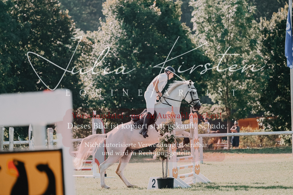 DSC_4552 | Pferde- und Turnierfotografie in Westsachsen. Pferdeportraits, Auftragszeichnungen und intuitive Kunst.