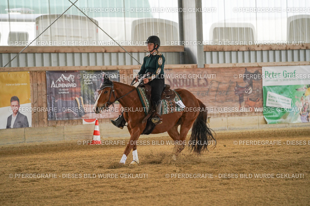 DSC08163 | Pferdegrafie