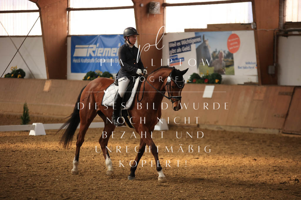 IMGT7623 | pl-fotografie