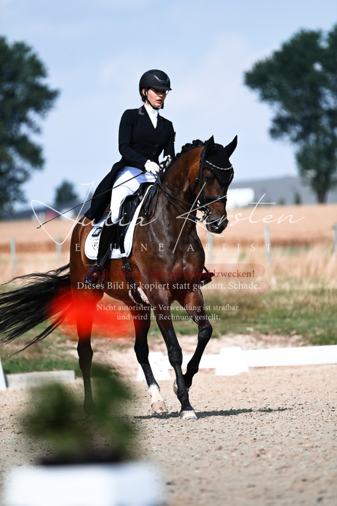 DSC_3085 | Pferde- und Turnierfotografie in Westsachsen. Pferdeportraits, Auftragszeichnungen und intuitive Kunst.