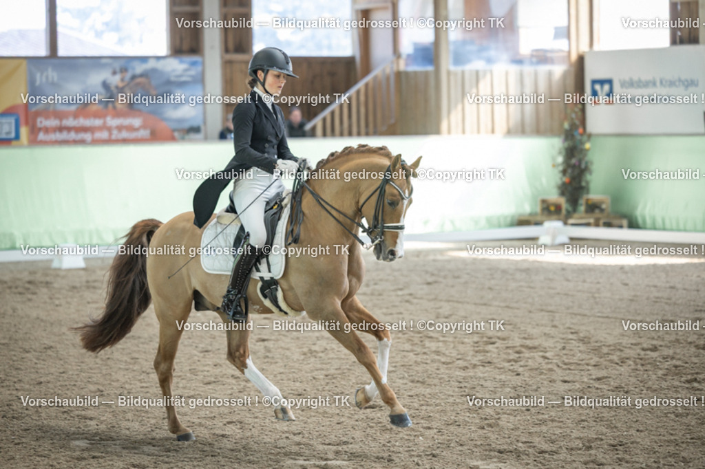 _D5A9425 | Emotionale Pferde- & People-Fotografie rund um Heidelberg, Leimen & Umgebung. Natürliche Fotos von Pferd, Mensch & Familie. Jetzt Termin sichern!