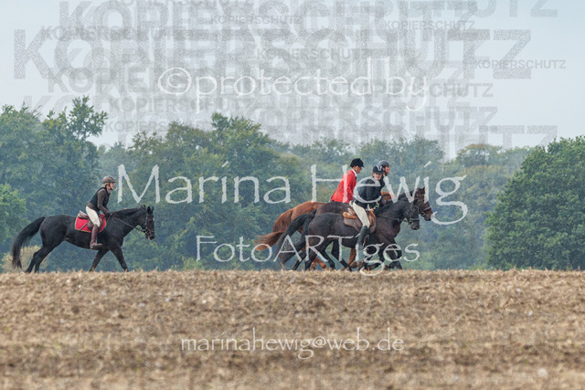 Jagd Perdoel_MarinaHewigMCH04270 | Fotografie, FotoArt, PferdesportArt, Pferdesportfotografie, Landschaftsfotografie, Reisefotografie, Reise, Pferde - Realisiert mit Pictrs.com