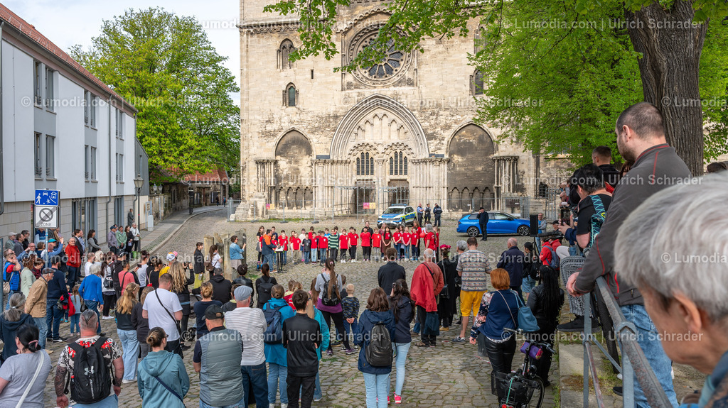10049-13134 - Gedenken an den Steinen der Erinnerung | Stockfoto und Bilderpool mit Bildmaterial aus Deutschland, dem Harz, Halberstadt, Quedlinburg, Wernigerode und weltweit. Qualitativ hochwertige und professionelle Fotos anschauen und kaufen. - Realisiert mit Pictrs.com