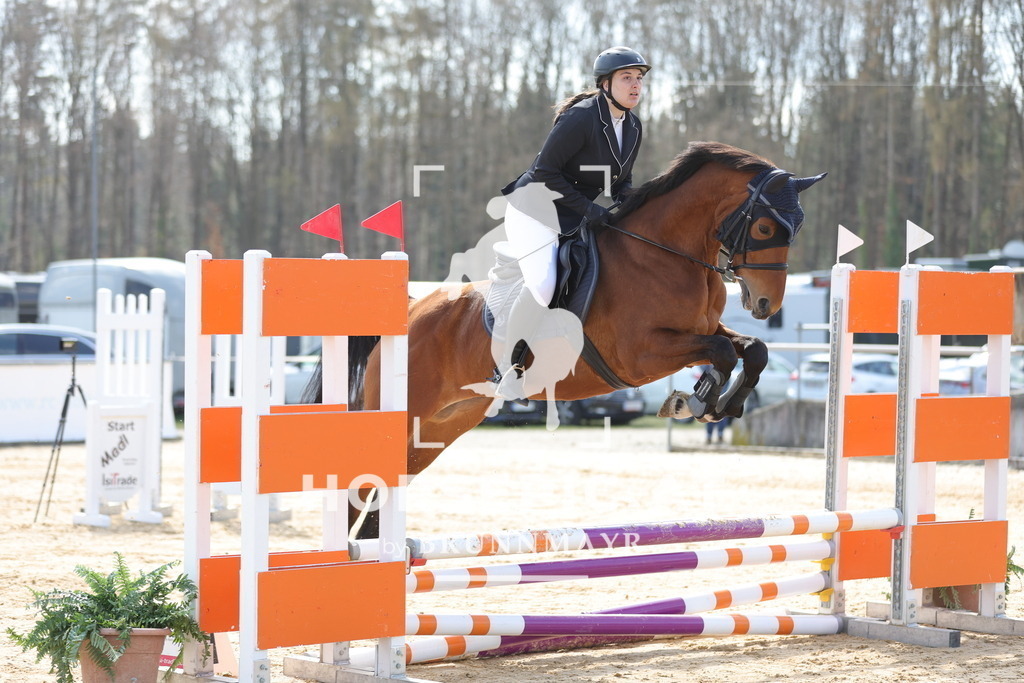 0P6A7016 | Willkommen bei Brunnmayr - Design & Fotografie – Ihrem Spezialisten für Reitturniere und Pferdeveranstaltungen in Oberösterreich, Salzburg und Bayern! Seit über 17 Jahren sind wir leidenschaftlich dabei.