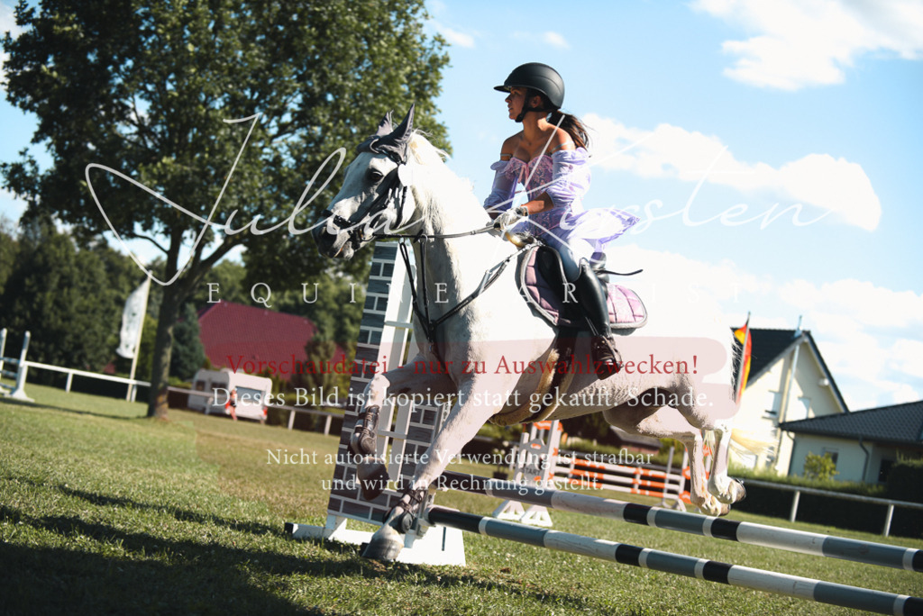 DSC_7551 | Pferde- und Turnierfotografie in Westsachsen. Pferdeportraits, Auftragszeichnungen und intuitive Kunst.