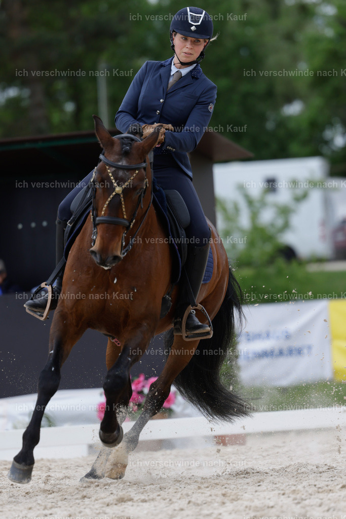 PI26_DR_259_Stoibphotography_AM10826.jpg | working equitationturnier fotograf videograf stoibphotography marixx film working equitation deutschland reitsport turnierfotografie eventfotografie equestrian events