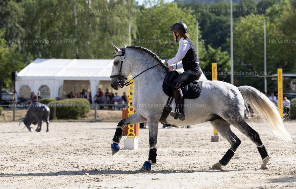 WS_SPEED_11_KerstinBernhardt-5 | working equitationturnier fotograf videograf stoibphotography marixx film working equitation deutschland reitsport turnierfotografie eventfotografie equestrian events