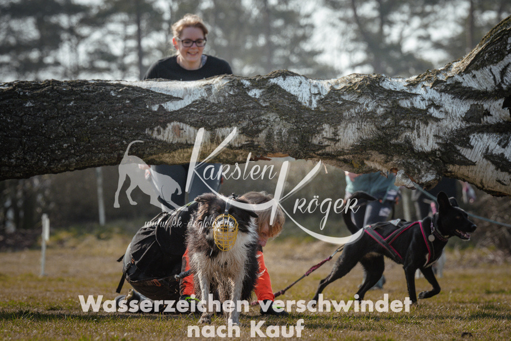 1053_ZZ94052 | kk-dogfotos