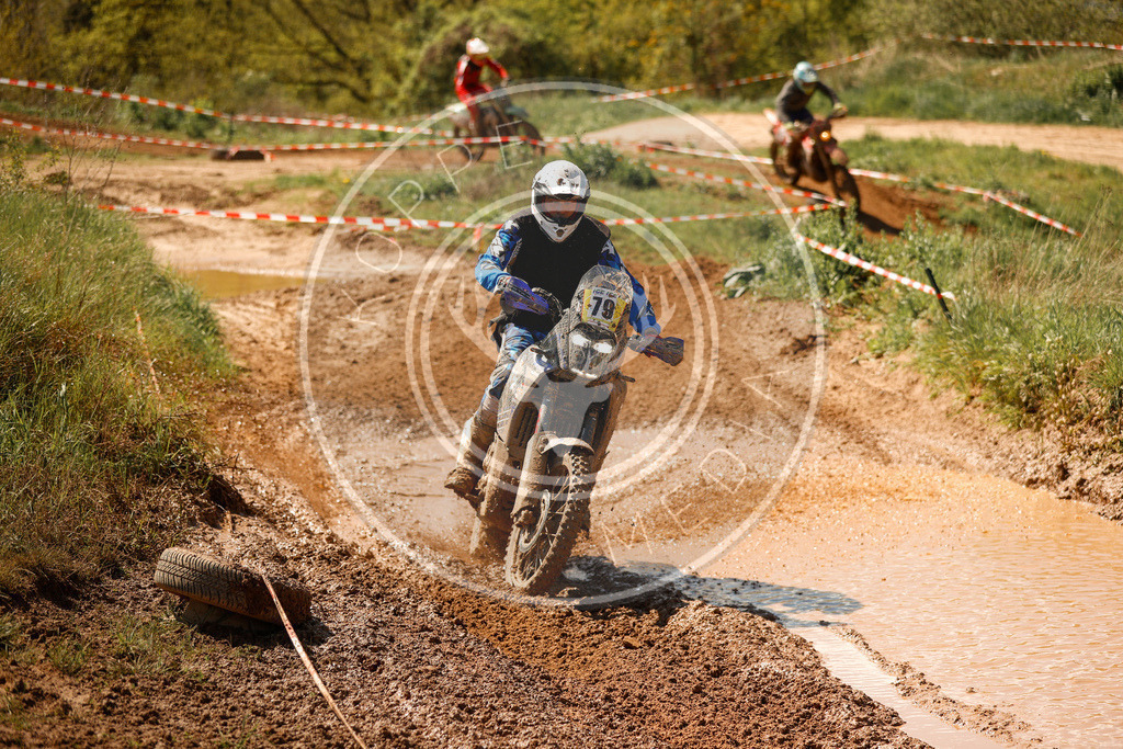 RottlebenIGE25_Lauf2-682 | koppe-media