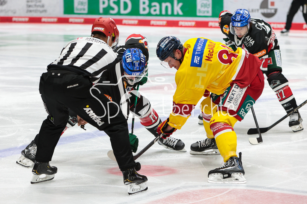 Augsburger Panther - Duesseldorfer EG | Adam Payerl (AEV #11) beim Bully gegen Stephen MACAULAY (DEG #81)