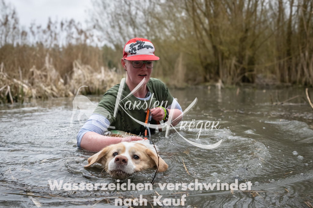 0847_ZZ93778 | kk-dogfotos