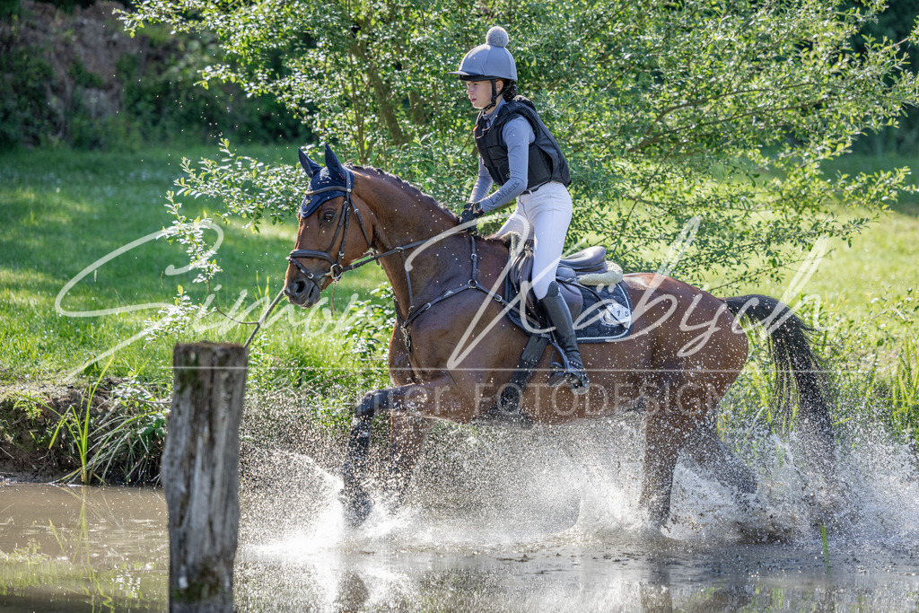 20260523-_3LI6555 | Tierfotografie Pferde, Hunde, Katzen, Haustiere.
Turnierfotografie Reitturniere, Reiten, Springreiten, Dressur in Hanau, dem Main-Kinzig-Kreis und dem Rhein-Main- Gebiet um Frankfurt