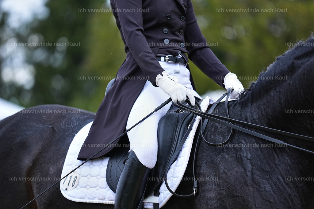 8_1-118-Klasse S_  -Marixx-4229 | working equitationturnier fotograf videograf stoibphotography marixx film working equitation deutschland reitsport turnierfotografie eventfotografie equestrian events