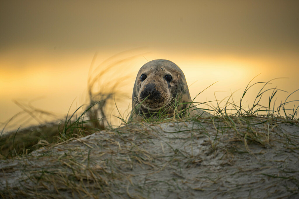 6E77FFEF-F08D-4A7F-A56D-25E4A5EDF588 | <meta name="keywords" content="Bergbilder, Hochzeitsfotografie, Actionshootings, Fotografiearbeiten, Berglandschaften, Naturfotografie">

 - Realisiert mit Pictrs.com