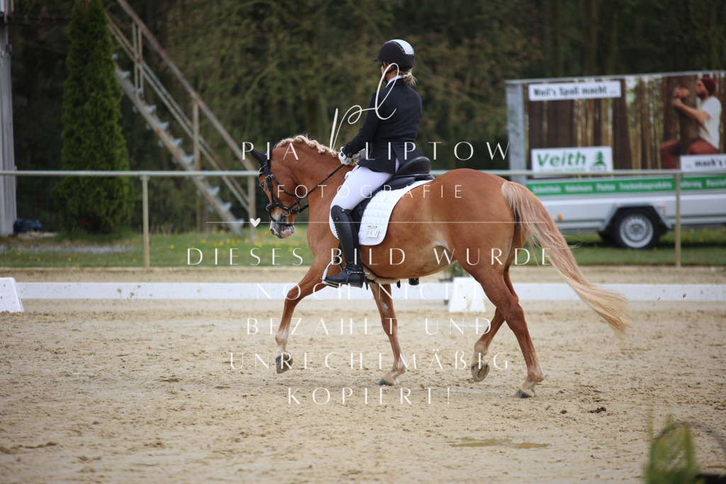 IMGT5565 | pl-fotografie