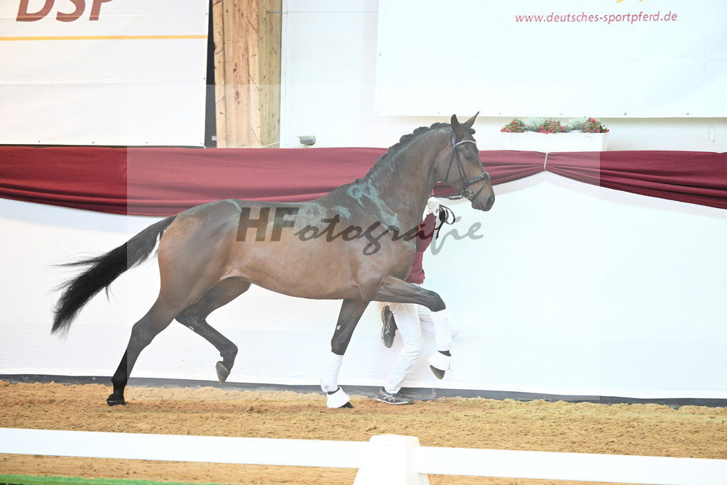 Kat-Nr. 38 v. Jovian_Limbecker_66220492 | hf-fotografie - Realisiert mit Pictrs.com