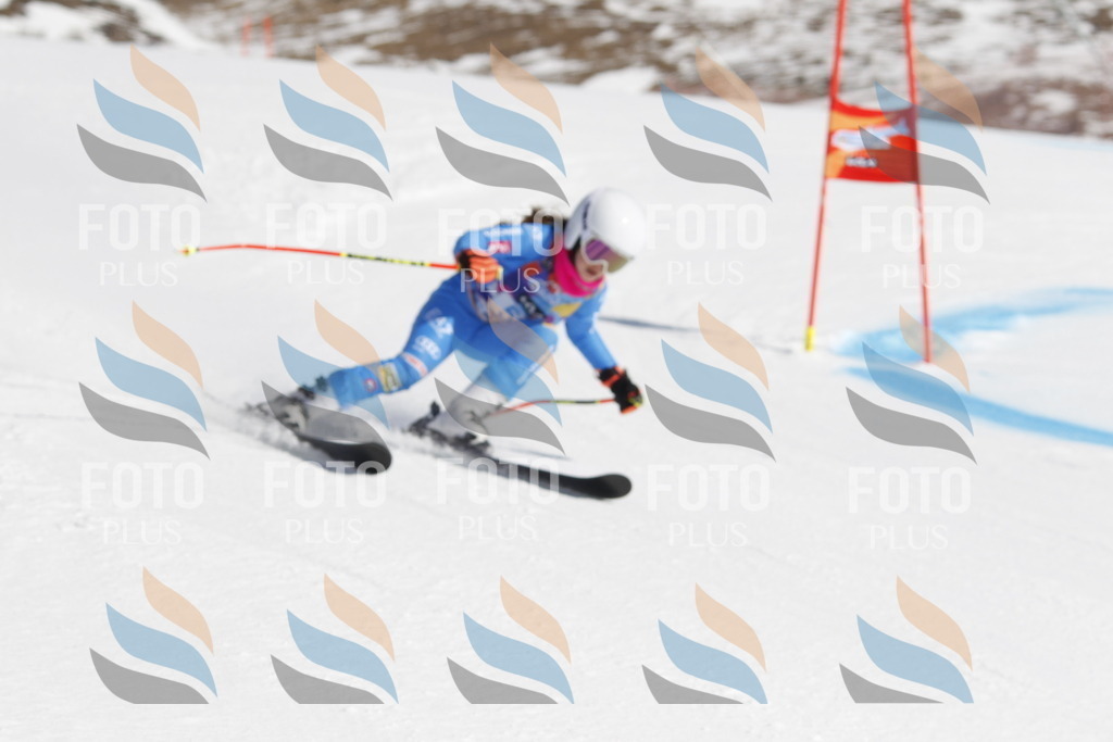 _U3G9530 | holidayphoto