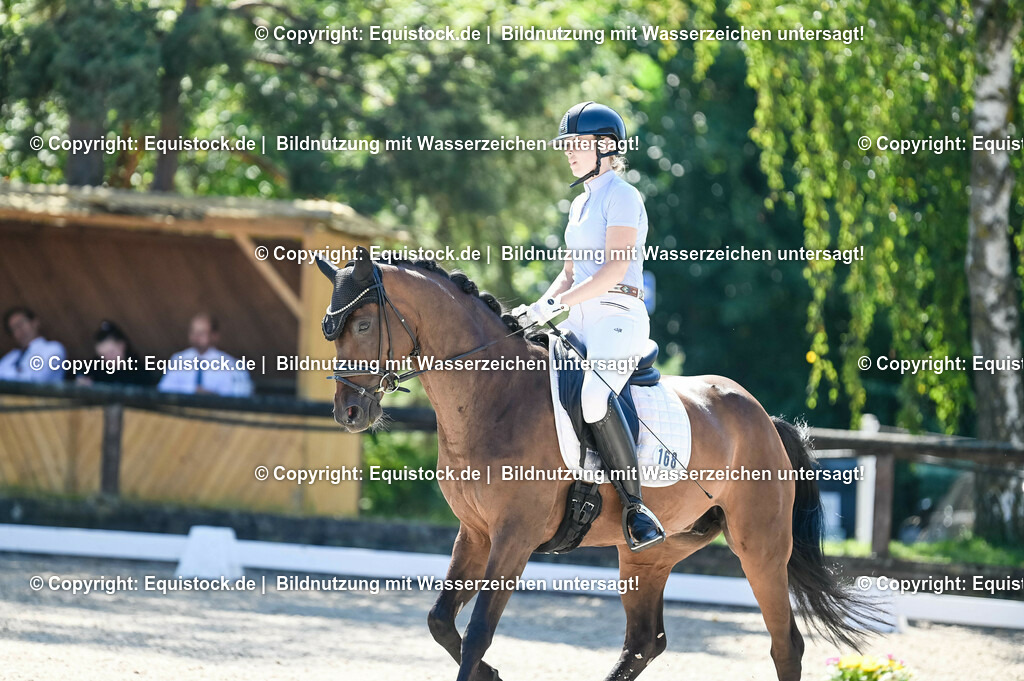 20230908_06_Dressur-L-Trense_0668 | equistock