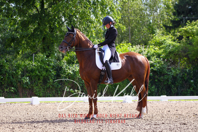 DKP41415 | Turnierfotos kaufen im Webshop von Daniel Kuhl Photography – entdecke professionelle Reitsportfotos aus Turnieren & Events. Hochwertige Turnierbilder online bestellen & sichern. Jetzt Fotos von Reitsportturnieren kaufen!