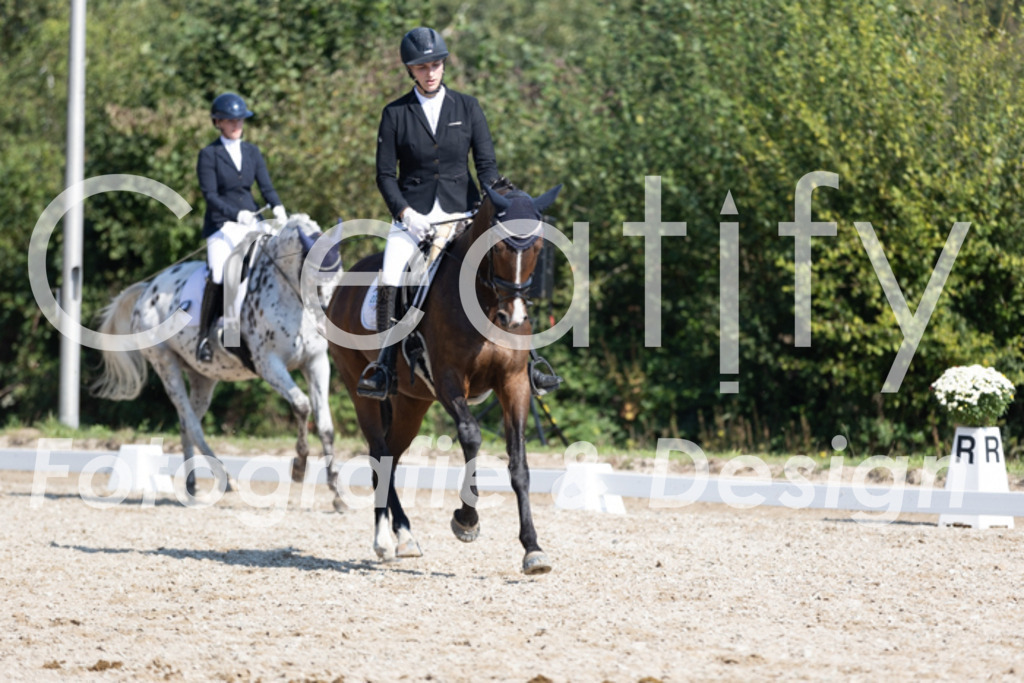 IMG_4652 | Creatify Fotografie