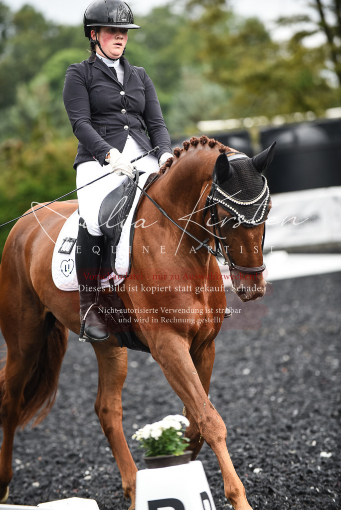 DSC_2897 | Pferde- und Turnierfotografie in Westsachsen. Pferdeportraits, Auftragszeichnungen und intuitive Kunst.