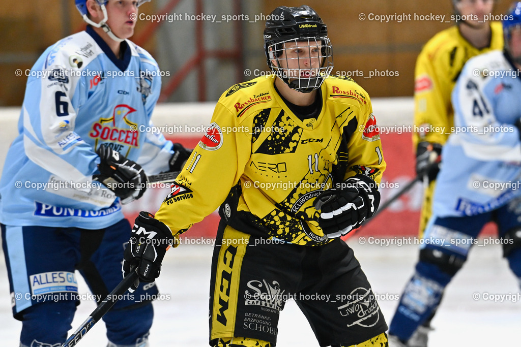 EC Spittal Hornets vs. ESC Steindorf 7.12.2022 | #11 Kucher Florian