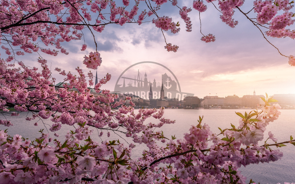 Hamburg-by-stativkunst.de-014 | Exklusive Hamburg collagen, tolle Segelbilder und viele weitere tolle Motive auf Leinwand, Poster, Alu-Dibond, u.v.m. findet Ihr bei uns auf hamburgbild.de. Findet Euer Wandbild für Euer Zuhause, Büro oder die  Praxis…. - Realisiert mit Pictrs.com