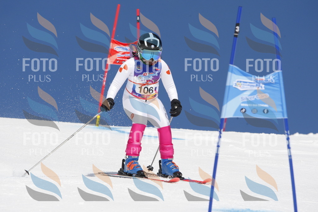 _W1G1596 | holidayphoto