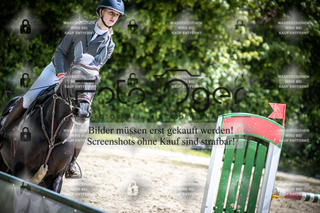 DOS_1397 | Reitturnier Lüdinghausen - Realisiert mit Pictrs.com