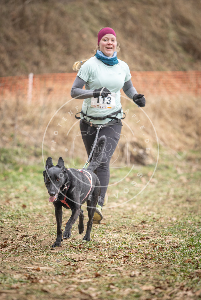 Pfotenfotografie_DV3A7561 | Hundefotografie, Tierfotograf, Pfotenfotografie, Fotoshooting Hund, Hunde Portrait, Hundesport, Hundeportraits, Heideshooting, Hunde, Sportfotograf, Hundefotograf, Turnierhundsport, THS,  - Realisiert mit Pictrs.com