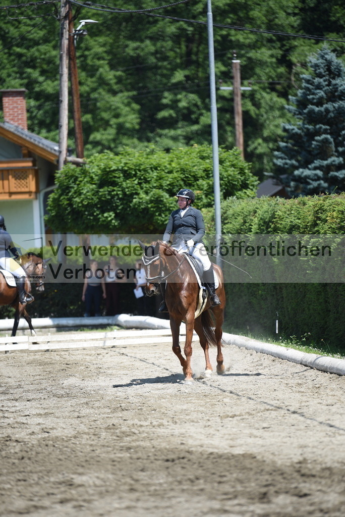 DSC_0805 | equestrian-live-com