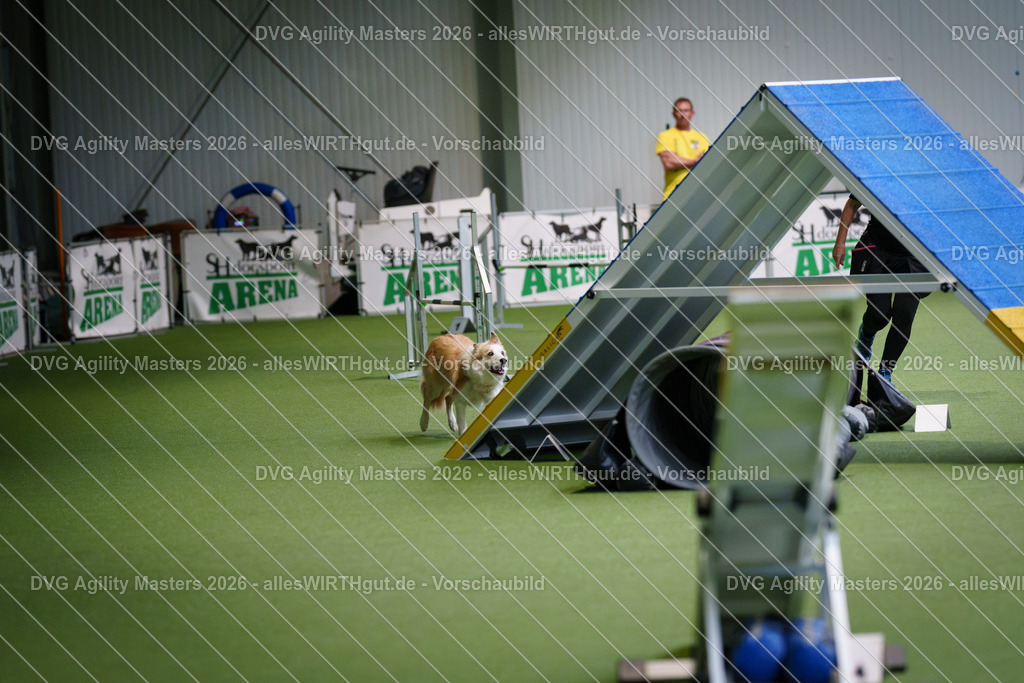 allesWIRTHgut_Tierfotografie-DVG_Agility_Masters_2026-13_40-7R509837 | Professionelle Tierfotografie in Mönchengladbach von Daniel Wirth (allesWIRTHgut). Liebevolle & natürliche Bilder von Hunden & Katzen für unvergessliche Erinnerungen.