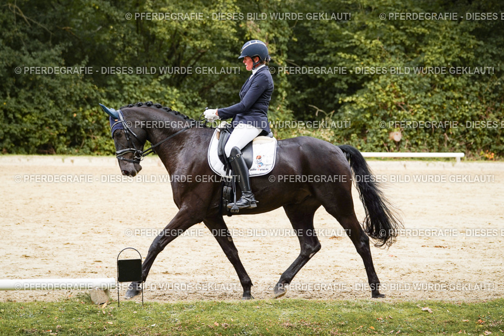 DSC01005 | Pferdegrafie