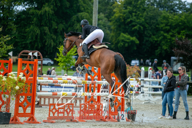 IMG_5798 | Deine Turnierfotos vom Reitturnier online kaufen: Dressur, Springen & Siegerehrung. Professionelle Pferdefotografie aus dem Rheinland – als Download & Print.Alternative: Turnierfotograf für den Pferdesport: Finde deine Fotos von Dressur- und Springturnier