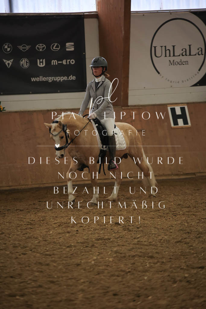 IMGT1169 | pl-fotografie