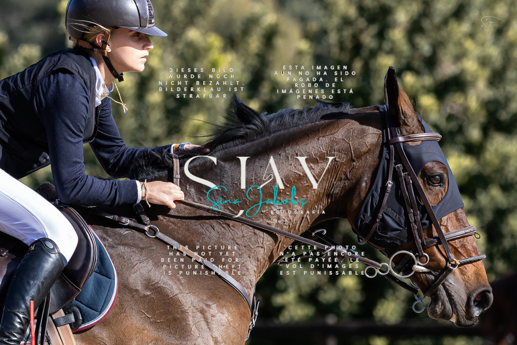 IMG_0678 | s-jay-photography - Realisiert mit Pictrs.com