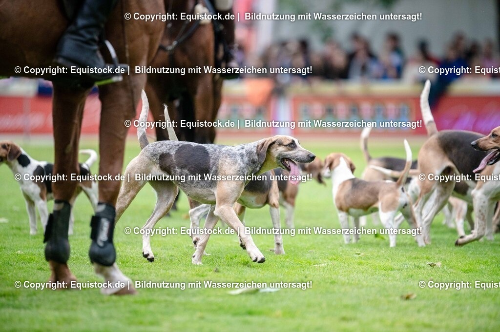 20250606_Lange-Pferdenacht_0469 | Foto: Thomas Hartig