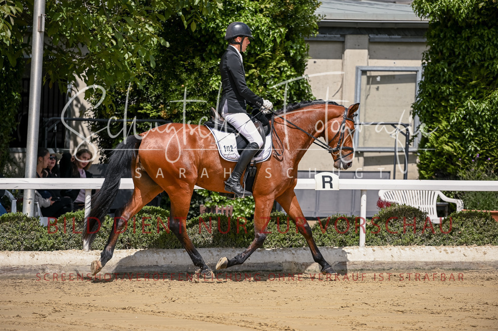 Schugtsche-Aluta25-48.Reitpferfdeprf.-198 | Schugtsche Fotografie - Realisiert mit Pictrs.com
