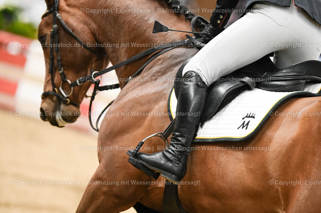 20260307_Hengstvorstellung-Marbach_0031 | equistock