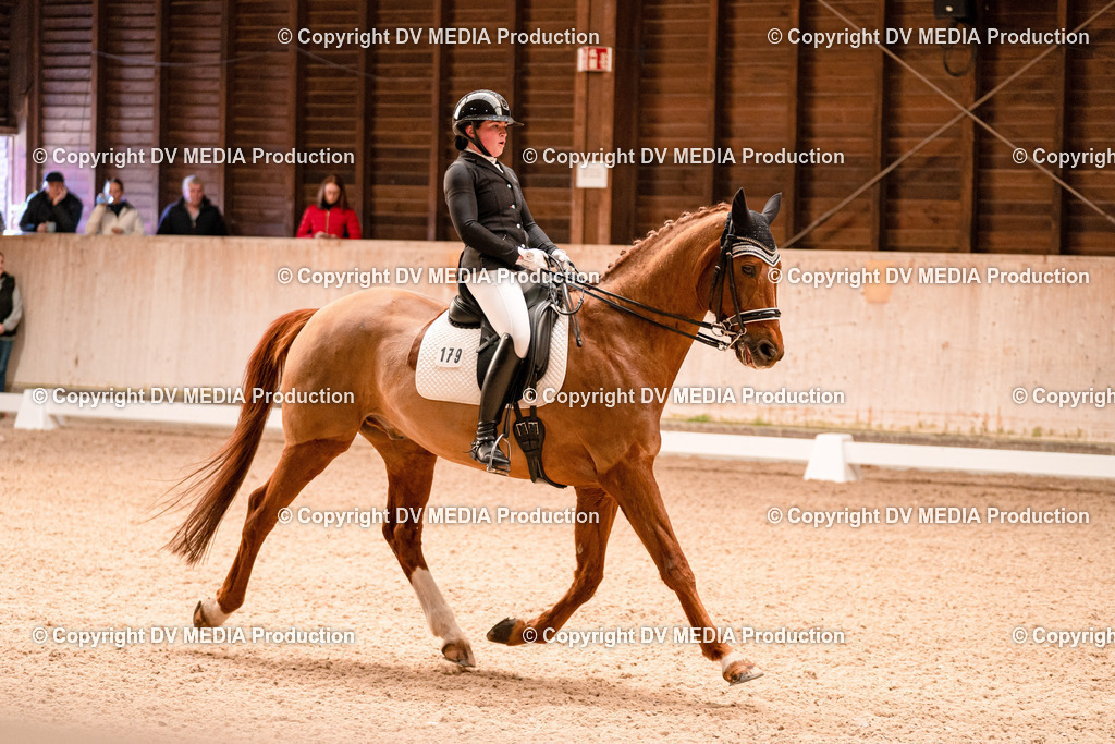 Dressur Tag 1 -201 | dv-media-shop - Realisiert mit Pictrs.com