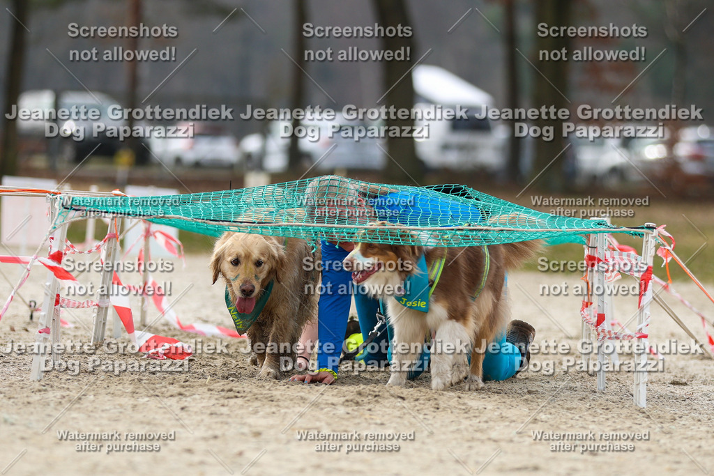 Dog Paparazzi - Strongdog North Mrz26-5719 | Dog Paparazzi Jeanette Grottendiek Fotografie & Videografie - Realisiert mit Pictrs.com