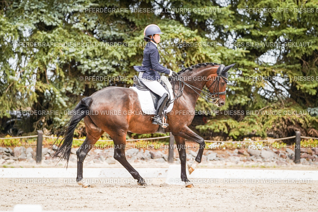 DSC05594 | Pferdegrafie