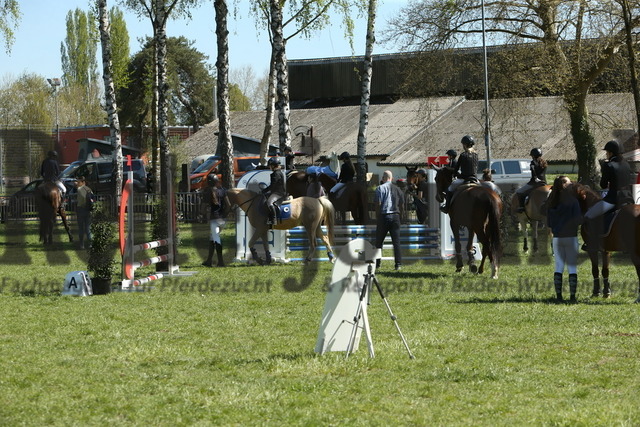 Meißenheim_2022_Stilspring-WB_ohne erlaubte Zeit_Parcoursbesichtigung (28) | Alle Fotos der Reiterjournal Fotografin Doris Matthaes im Reiterjournal Online-Fotoshop. - Realisiert mit Pictrs.com