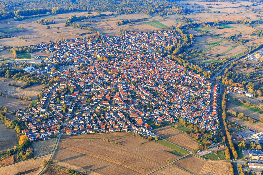 Luftbild: Ortsansicht von Süden in Hagenbach im Bundesland Rheinland-Pfalz in Deutschland. Foto: IMG_123475.jpg vom 19.10.2020 durch Werner Riehm/FLY-FOTO.de