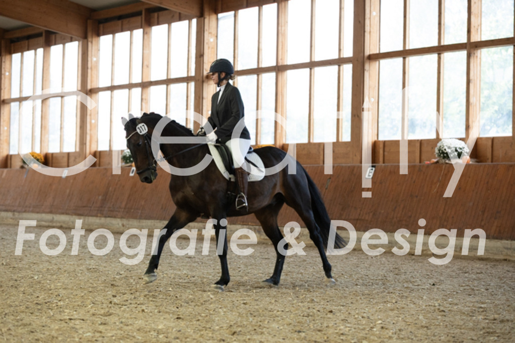 IMG_5689 | Creatify Fotografie